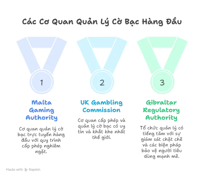 Giấy phép hoạt động của Zomclub