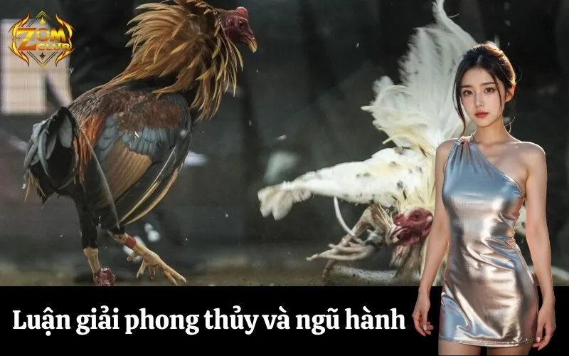Luận giải phong thủy và ngũ hành